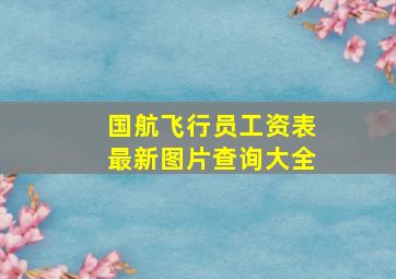 国航飞行员工资表最新图片查询大全