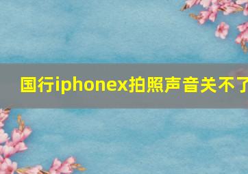 国行iphonex拍照声音关不了