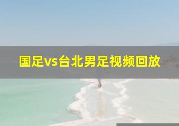 国足vs台北男足视频回放