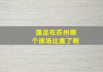 国足在苏州哪个球场比赛了啊