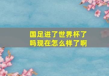 国足进了世界杯了吗现在怎么样了啊