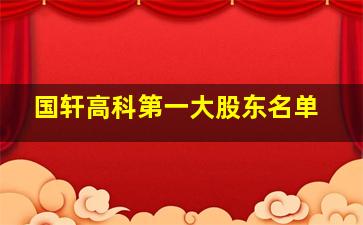 国轩高科第一大股东名单