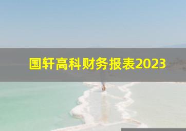 国轩高科财务报表2023