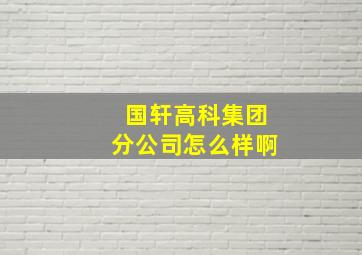 国轩高科集团分公司怎么样啊