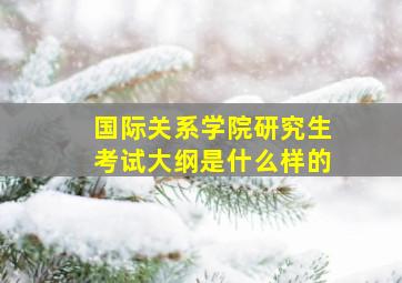 国际关系学院研究生考试大纲是什么样的