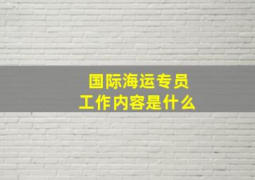 国际海运专员工作内容是什么