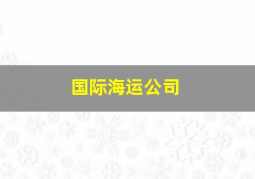 国际海运公司