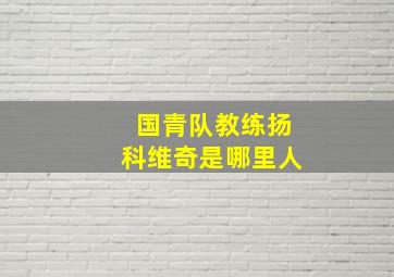 国青队教练扬科维奇是哪里人