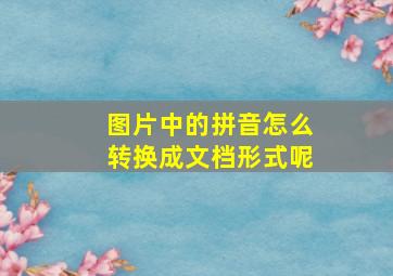 图片中的拼音怎么转换成文档形式呢