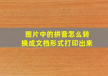 图片中的拼音怎么转换成文档形式打印出来