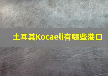 土耳其Kocaeli有哪些港口