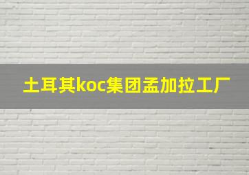 土耳其koc集团孟加拉工厂