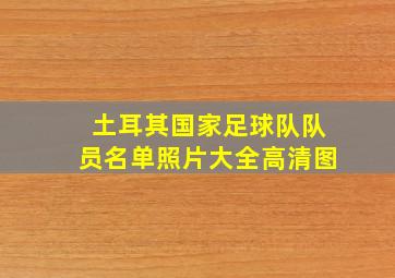 土耳其国家足球队队员名单照片大全高清图