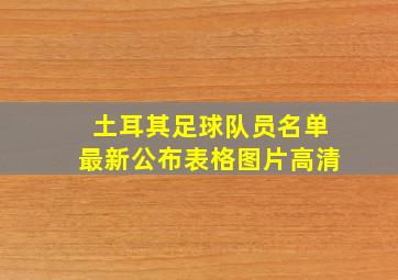 土耳其足球队员名单最新公布表格图片高清