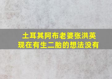 土耳其阿布老婆张洪英现在有生二胎的想法没有