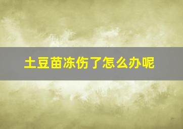 土豆苗冻伤了怎么办呢