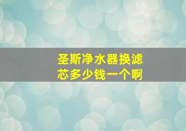 圣斯净水器换滤芯多少钱一个啊