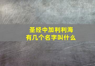 圣经中加利利海有几个名字叫什么