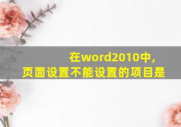 在word2010中,页面设置不能设置的项目是