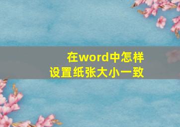 在word中怎样设置纸张大小一致