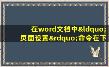 在word文档中“页面设置”命令在下列哪一菜单中()