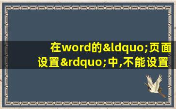 在word的“页面设置”中,不能设置