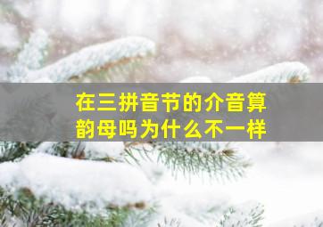 在三拼音节的介音算韵母吗为什么不一样