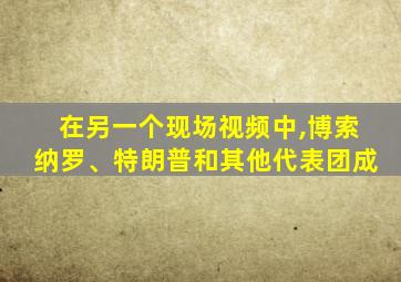 在另一个现场视频中,博索纳罗、特朗普和其他代表团成