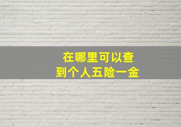 在哪里可以查到个人五险一金