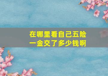 在哪里看自己五险一金交了多少钱啊