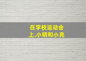 在学校运动会上,小明和小亮