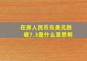 在岸人民币兑美元跌破7.3是什么意思啊