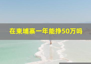 在柬埔寨一年能挣50万吗