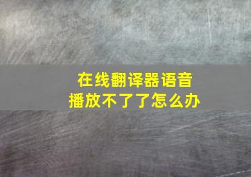 在线翻译器语音播放不了了怎么办