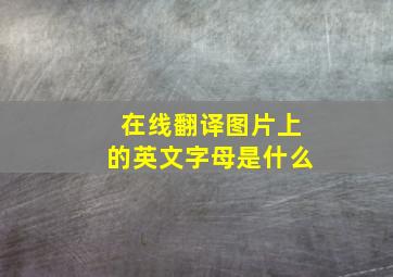 在线翻译图片上的英文字母是什么