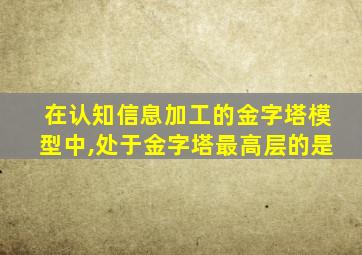 在认知信息加工的金字塔模型中,处于金字塔最高层的是