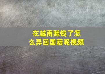 在越南赚钱了怎么弄回国籍呢视频