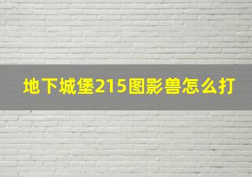 地下城堡215图影兽怎么打