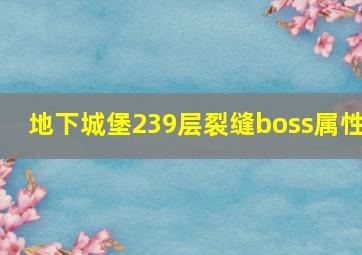 地下城堡239层裂缝boss属性