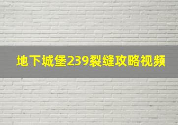 地下城堡239裂缝攻略视频