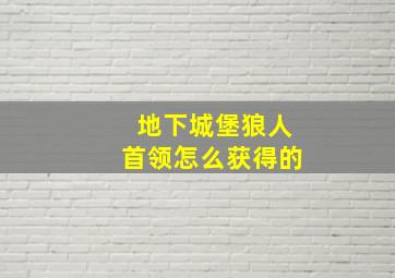 地下城堡狼人首领怎么获得的