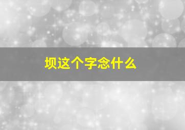 坝这个字念什么