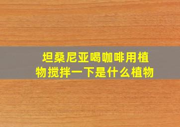 坦桑尼亚喝咖啡用植物搅拌一下是什么植物