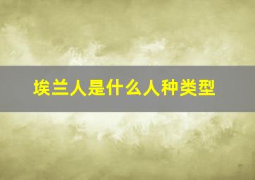 埃兰人是什么人种类型