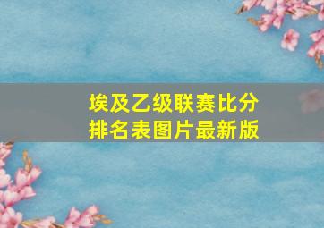 埃及乙级联赛比分排名表图片最新版