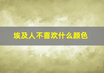 埃及人不喜欢什么颜色