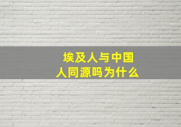 埃及人与中国人同源吗为什么