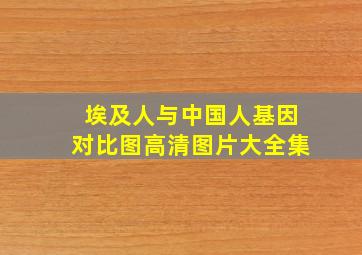 埃及人与中国人基因对比图高清图片大全集