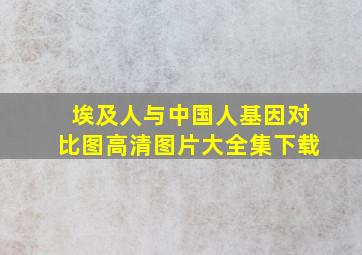 埃及人与中国人基因对比图高清图片大全集下载