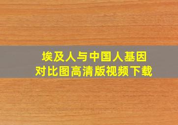 埃及人与中国人基因对比图高清版视频下载